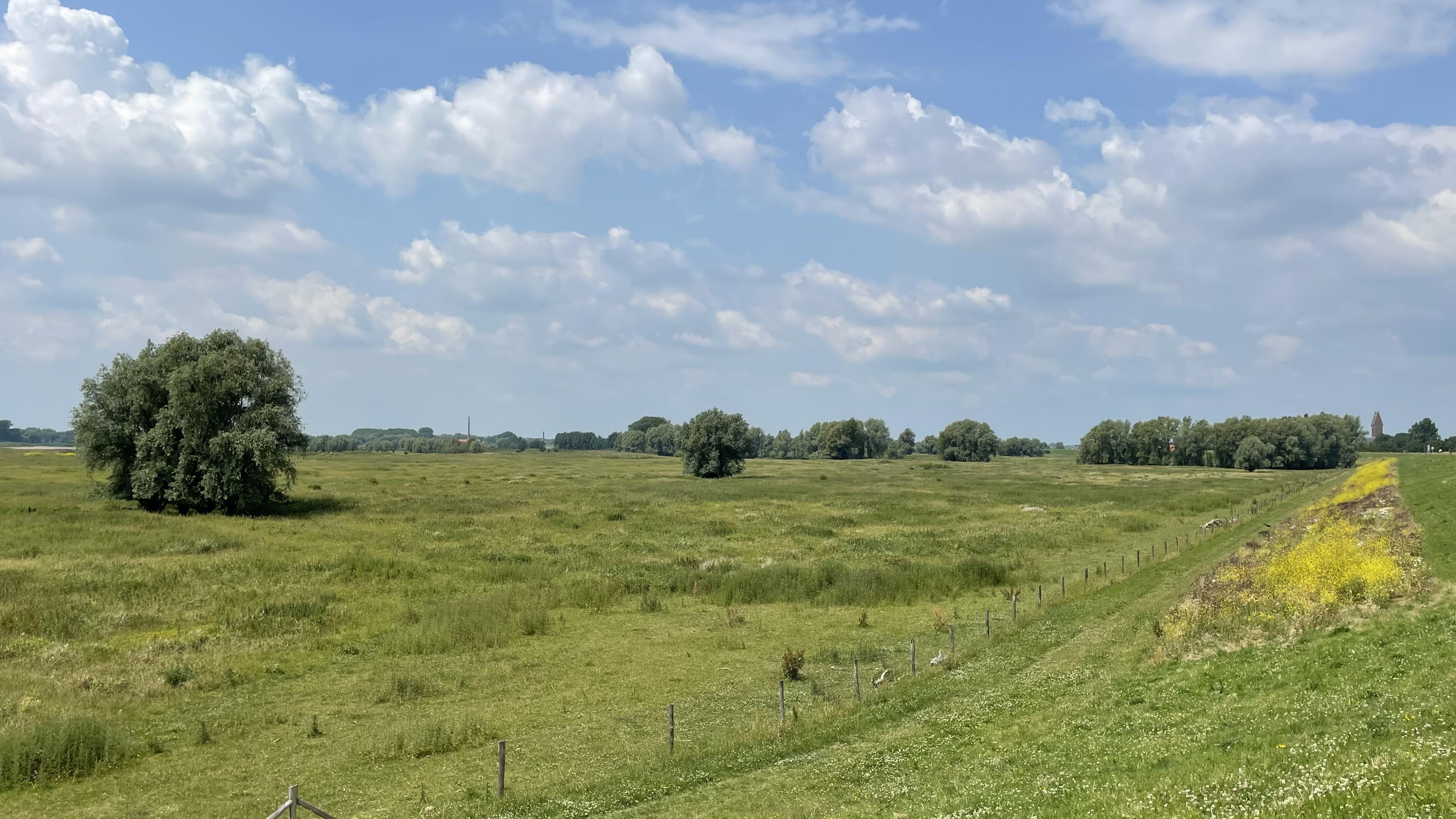 Oosterhoutse Waarden 2026